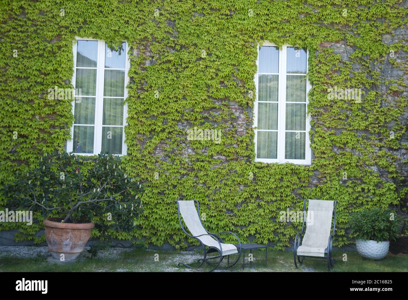 L'ivie du Canada Banque D'Images