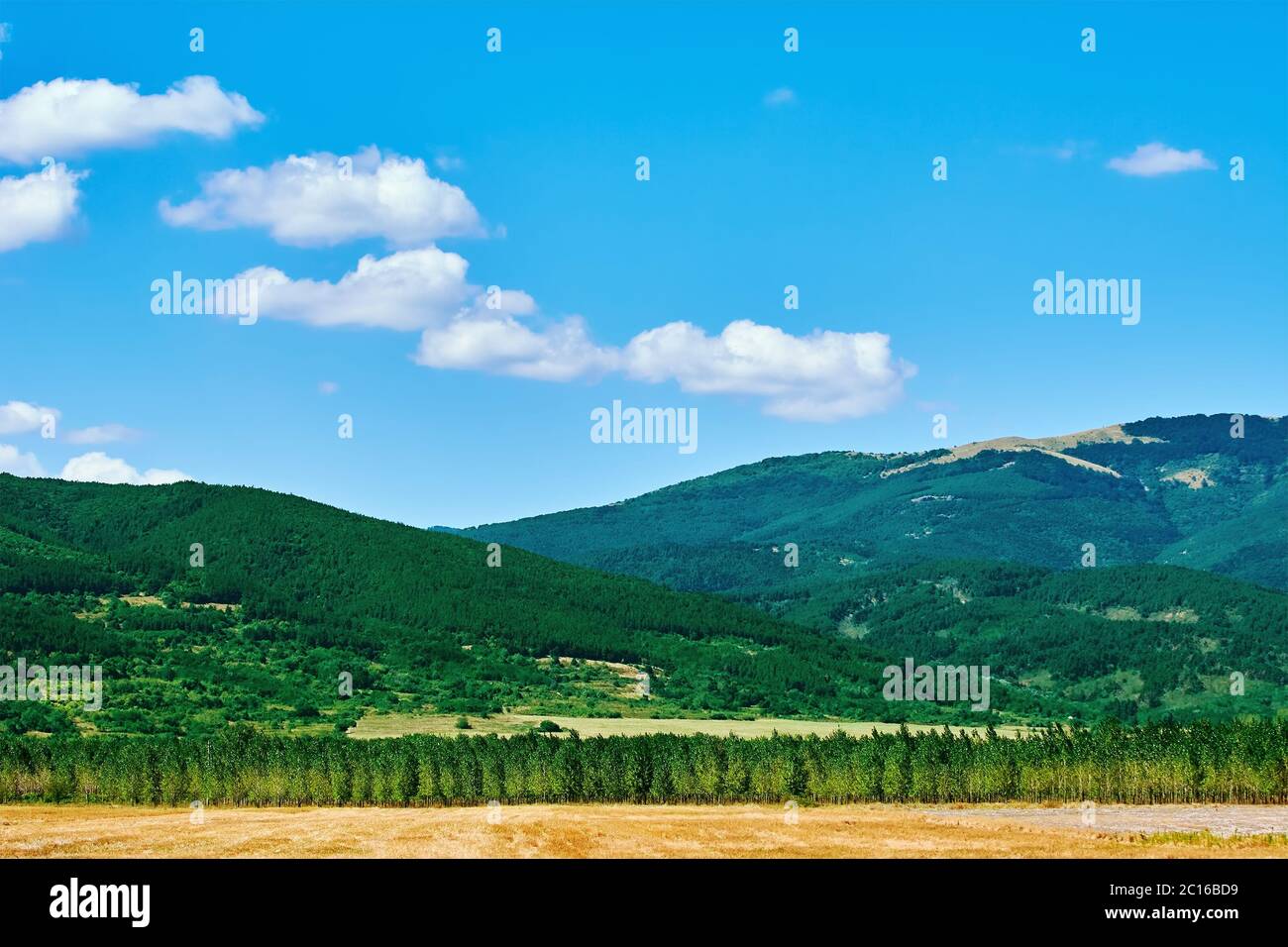 Paysage avec montagnes bulgares Banque D'Images