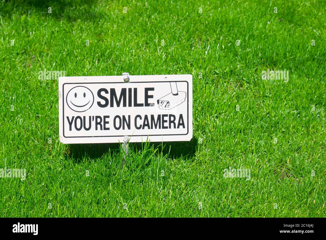 Souriez-vous sur le panneau de caméra sur une pelouse. Banque D'Images