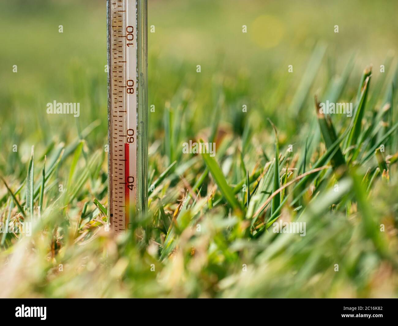 Vérification de la température du sol pour la plantation de graminées Banque D'Images