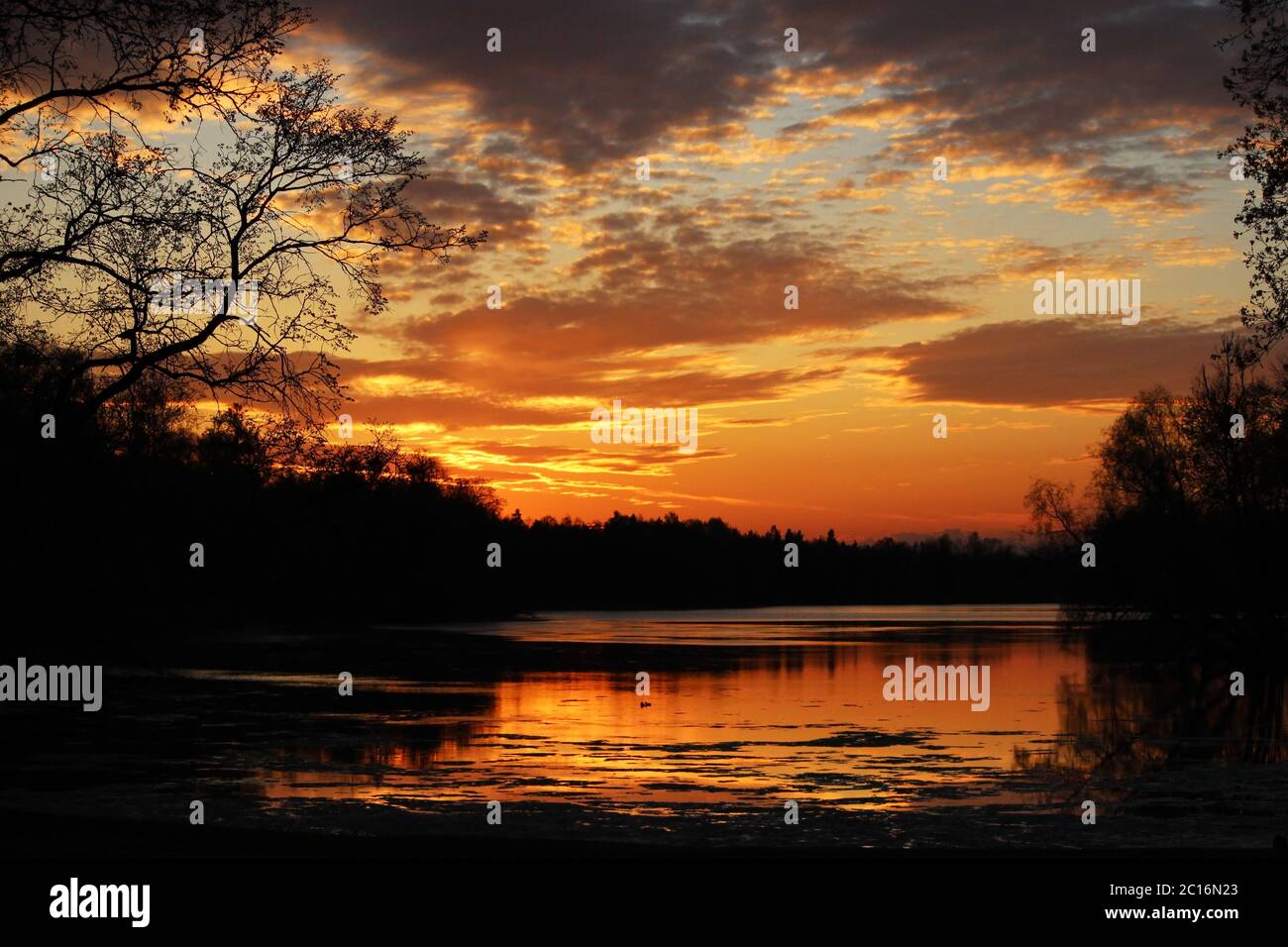 Paysage de nuit - le soleil se coucher dans le ciel du soir sur le lac qui reflète silhouettes d'arbres Banque D'Images