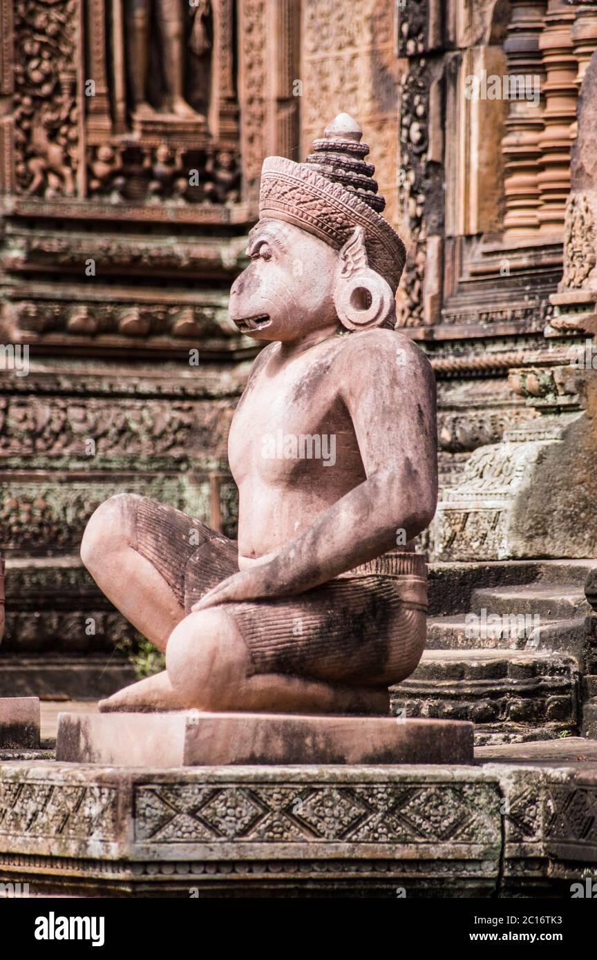 Ancienne statue khmère sculptée d'un soldat de singe, faisant partie de l'armée de Hanuman, qui garde une chapelle prasat au temple de Banteay Srei, Angkor, Cambodge. Banque D'Images