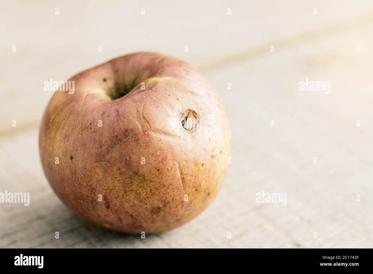 Pourriture de pomme sur bois. Banque D'Images