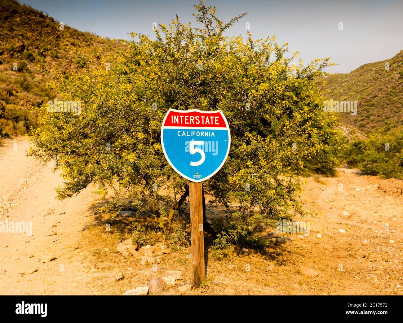 Panneau de signalisation de l'Interstate 5 de Californie devant l'arbre d'épine du désert avec fourche de route en gravier Banque D'Images