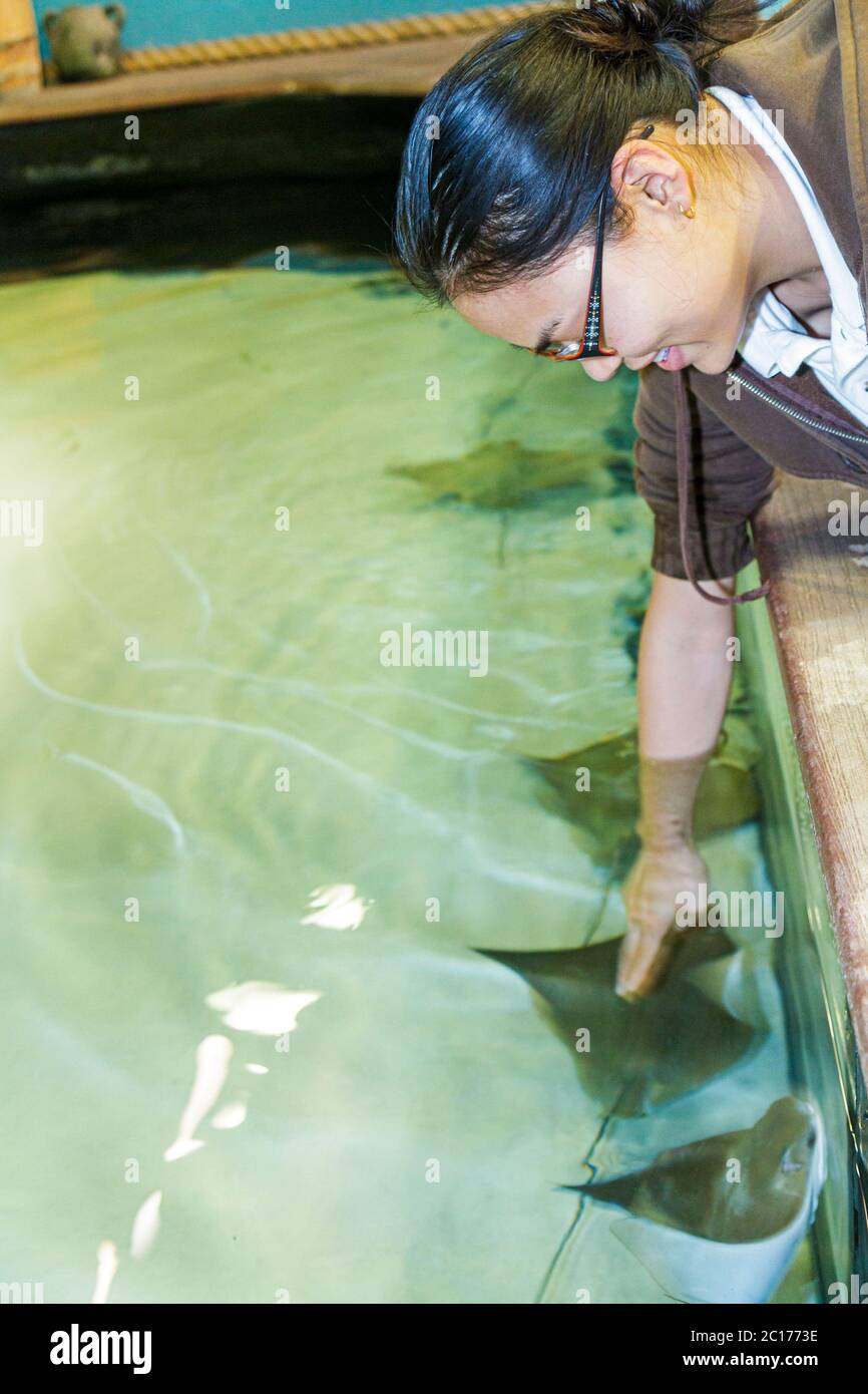 Nouvelle-Orléans Louisiane, Woldenberg River Waterfront Park, Audubon Aquarium of the Americas, recherche, conservation, vie aquatique, exposition marine, c Banque D'Images
