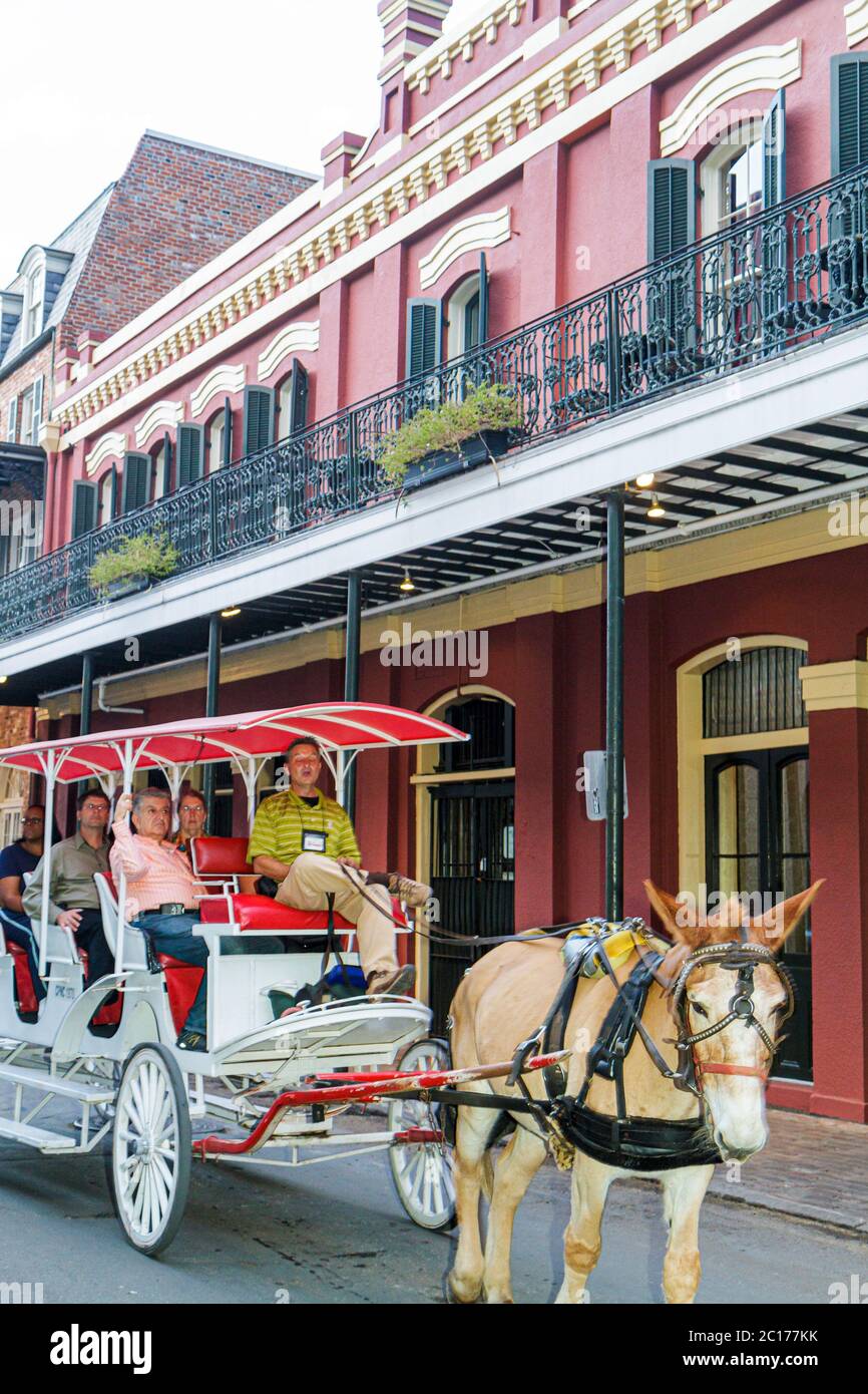 New Orleans Louisiana, French Quarter, galerie d'art d'architecture, balcon, chariot de mule, animal, guide touristique, homme hommes, femme femmes, LA111 Banque D'Images
