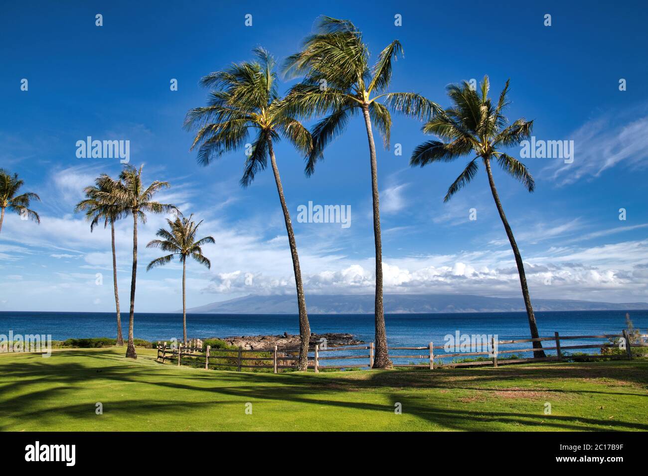Vue sur l'océan tropical en bleu marine à Napili Bay, à Maui. Banque D'Images