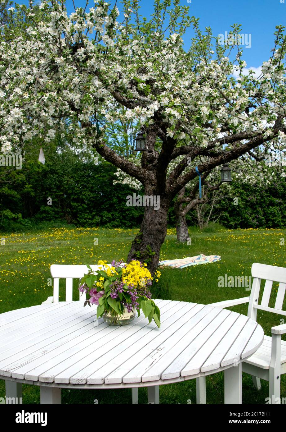 Jour d'été dans le jardin et bouquet de fleurs fraîches sur la table avec  des chaises autour. Dans l'herbe à côté de pommier de fleur est une couverture  pour s'asseoir sur Photo