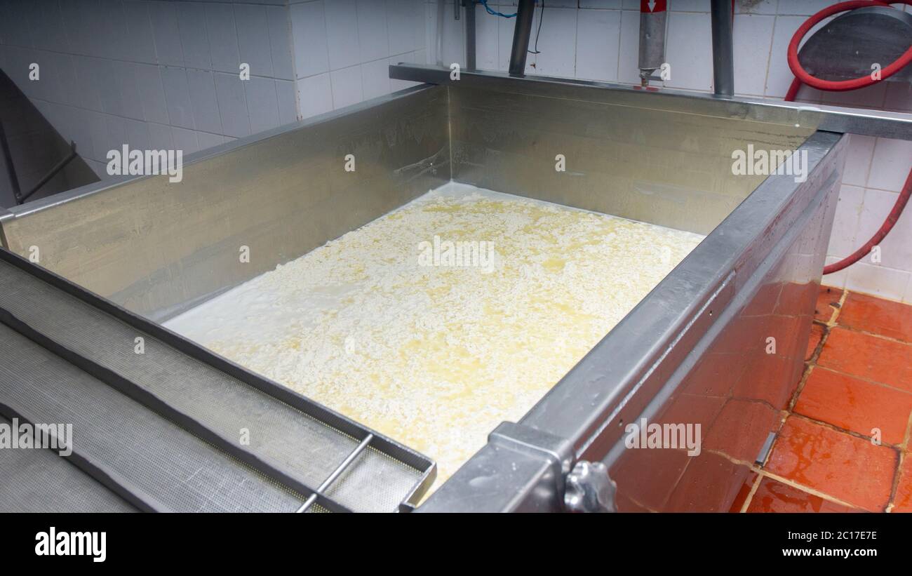 Vue du réservoir industriel pour préparer du fromage en fonctionnement. Procédé de fabrication du fromage Banque D'Images