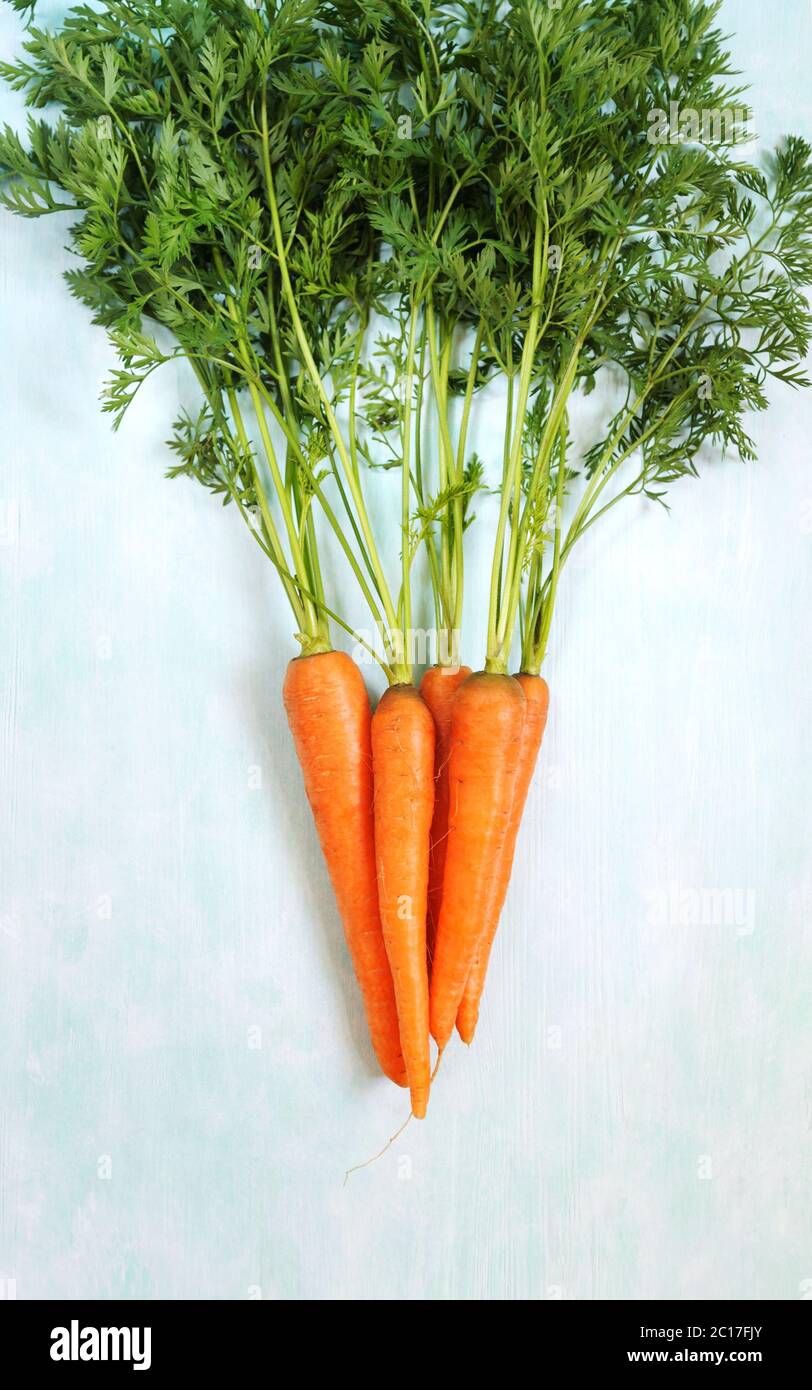 Carottes fraîches avec feuilles vertes sur fond vert clair. Concept de cuisson, fond de nourriture.plat se pose en orientation verticale avec un espace pour le texte. Banque D'Images