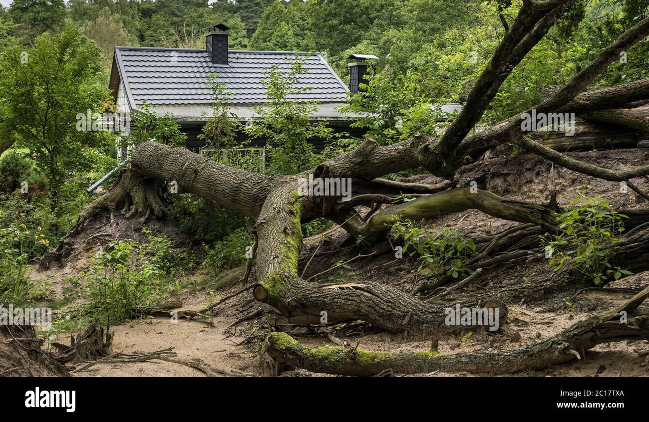 dégâts de la tempête Banque D'Images