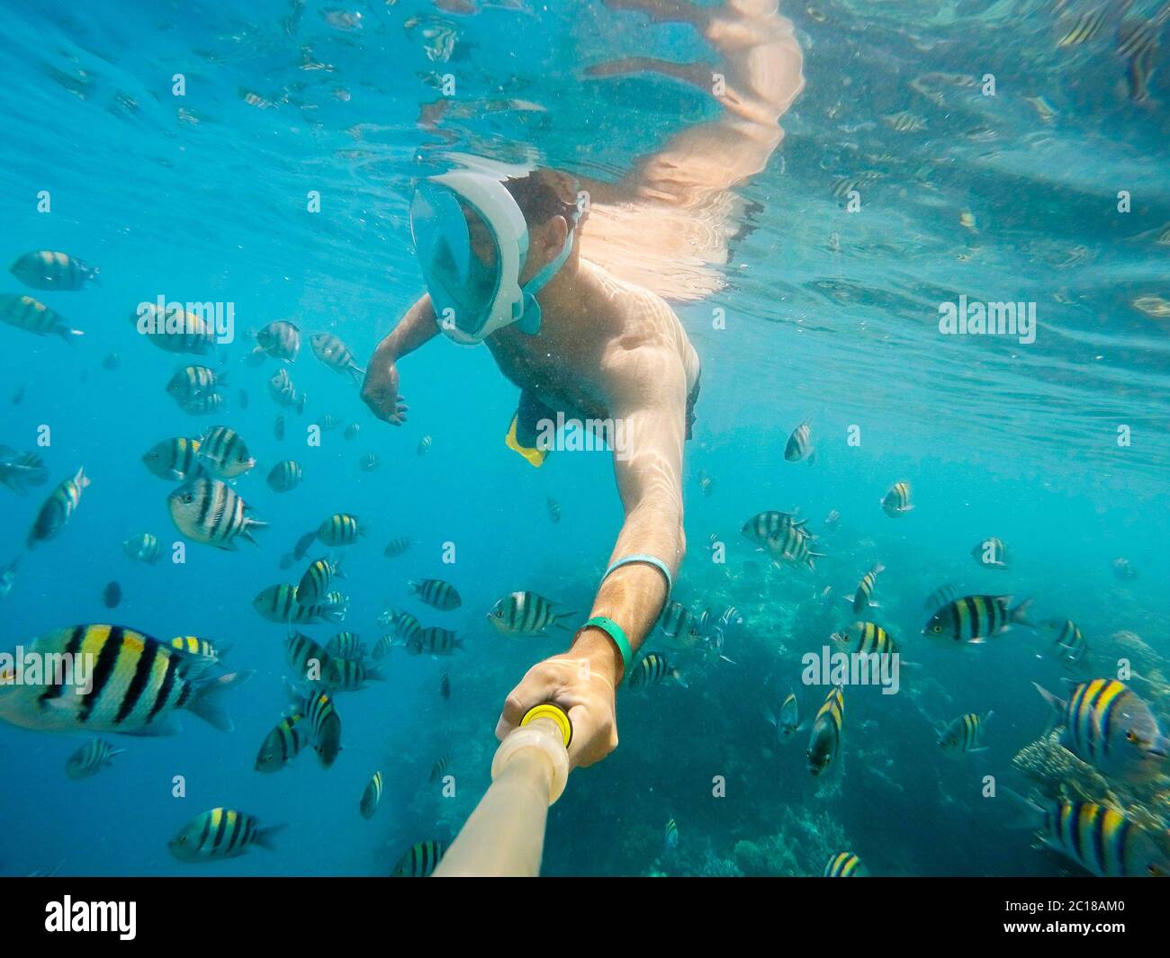 L'homme de la plongée en eau peu profonde sur des poissons de corail Banque D'Images
