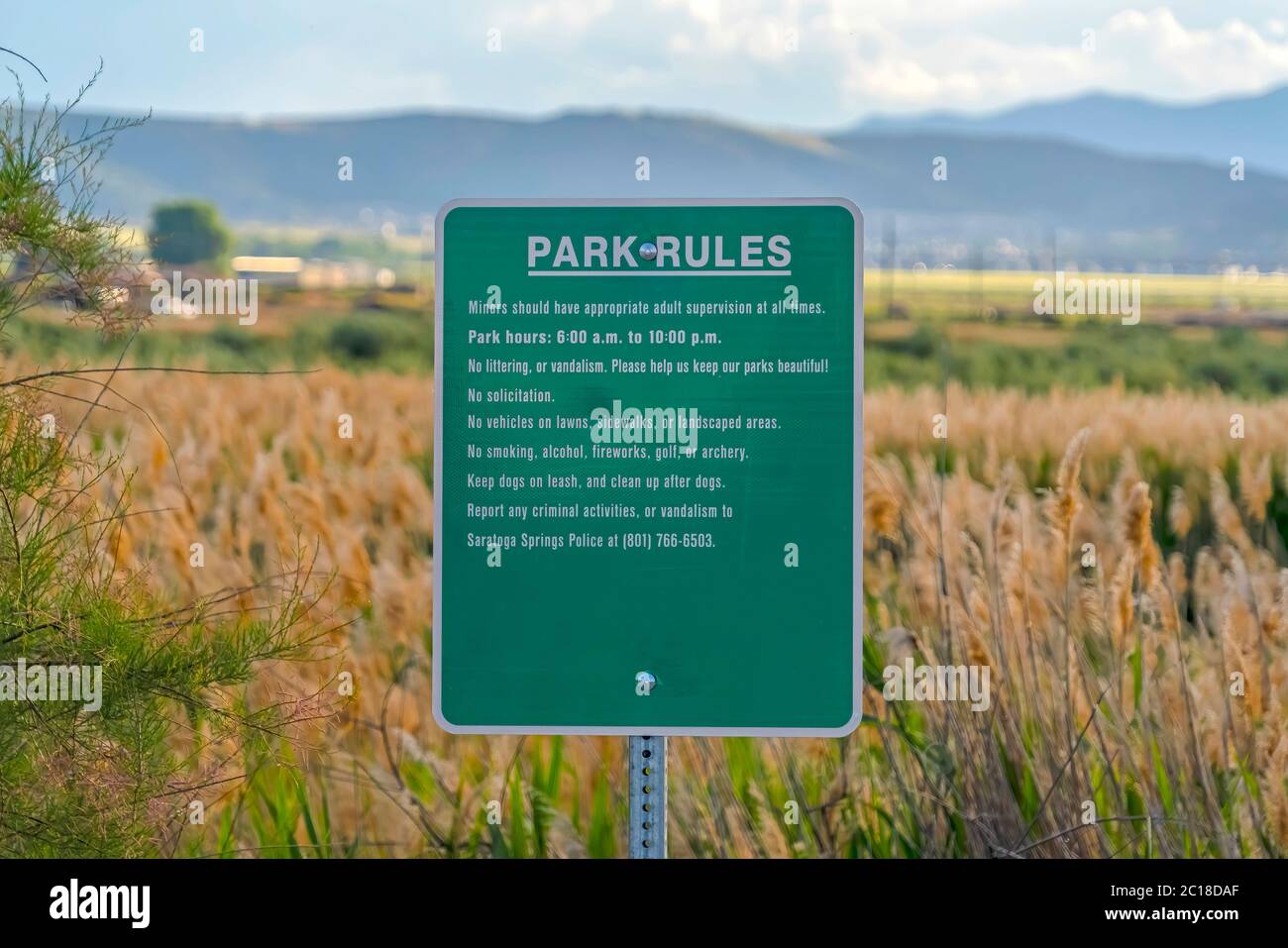 Panneau vert avec règles du parc contre de hautes herbes luxuriantes sur un vaste terrain Banque D'Images