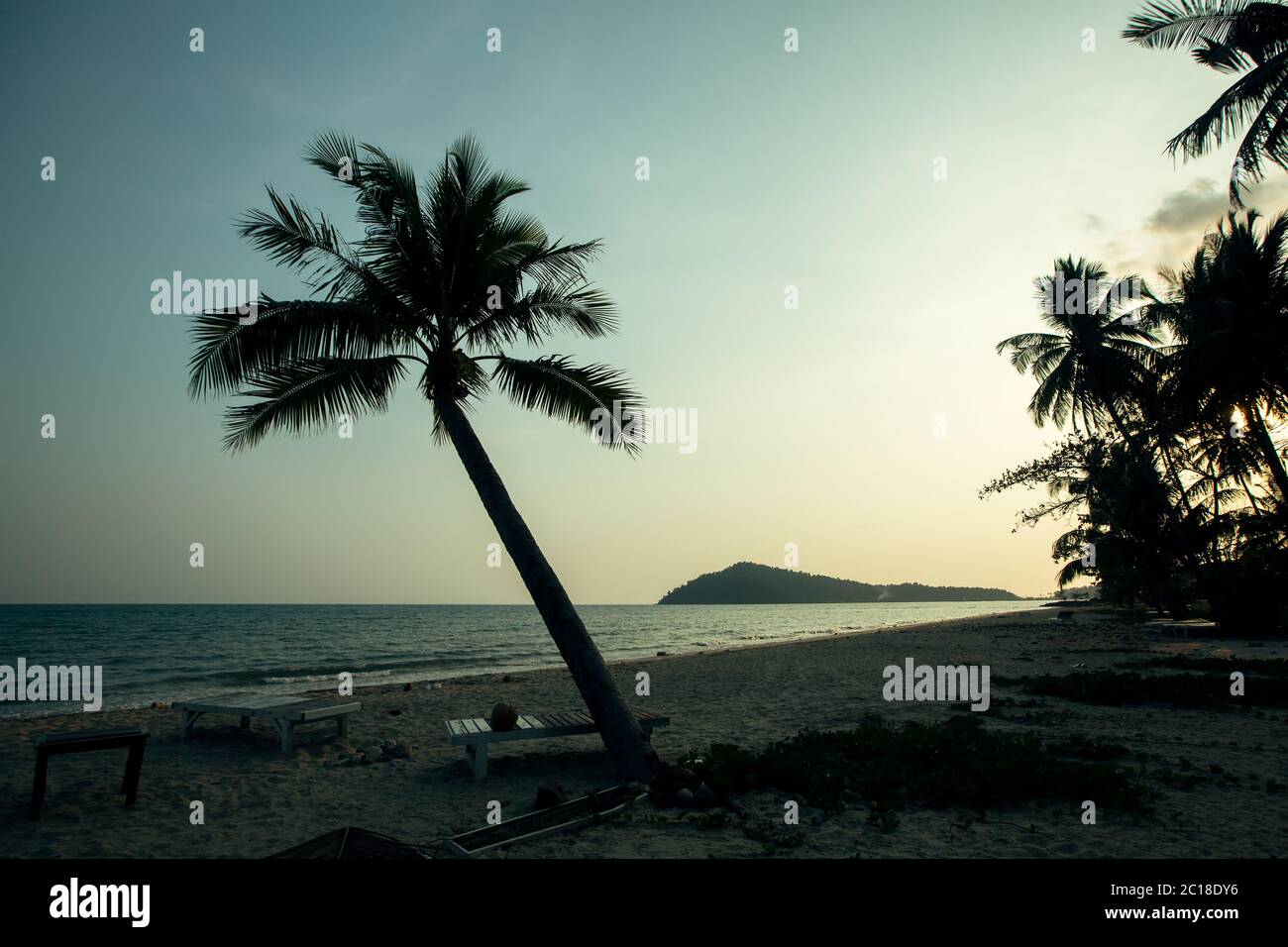 Silhouettes de palmiers sur une plage tropicale au beau crépuscule. Banque D'Images