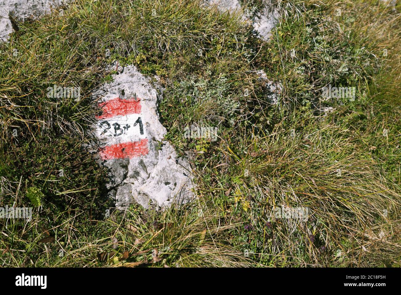 Marqueur de sentier pour randonneurs par jour ensoleillé Banque D'Images