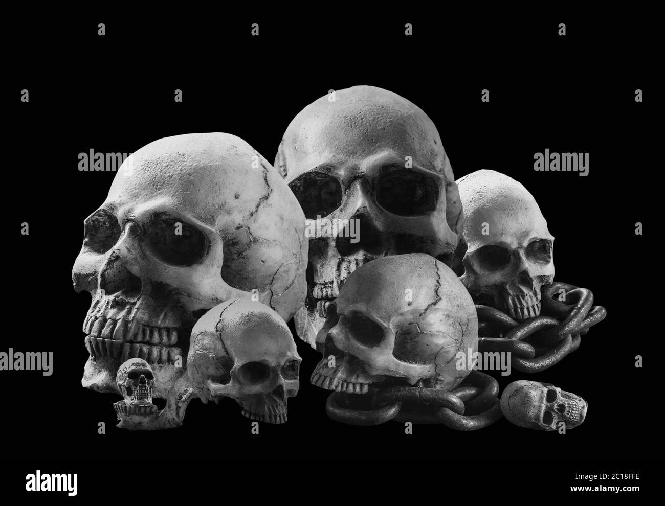 crâne avec une image en noir et blanc. Banque D'Images