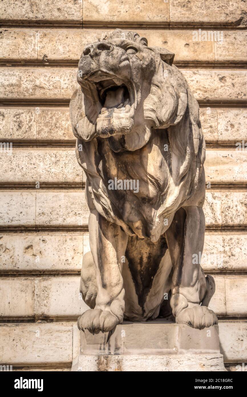 Détails du château de Buda à Budpaest, Hongrie Banque D'Images