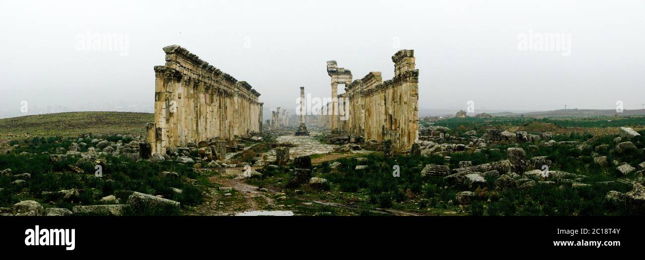 La grande Colonnade Apamea dans le brouillard, a partiellement détruit la Syrie Banque D'Images