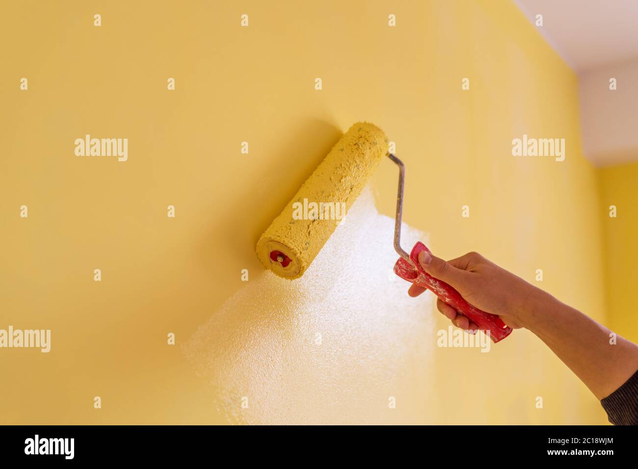 La main de décorateur mur peinture avec rouleau. Banque D'Images