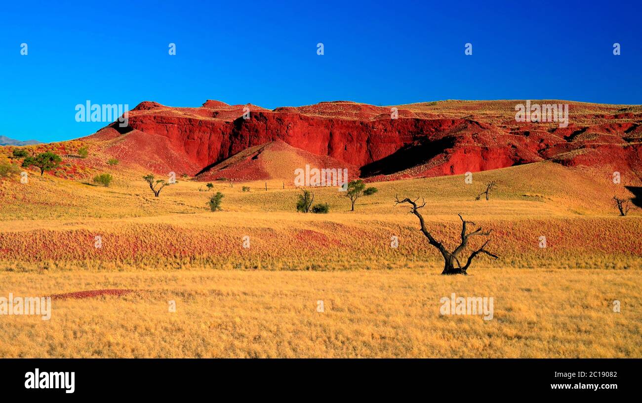 Dunes pétrifiées au coucher du soleil dans le désert de Namib Banque D'Images
