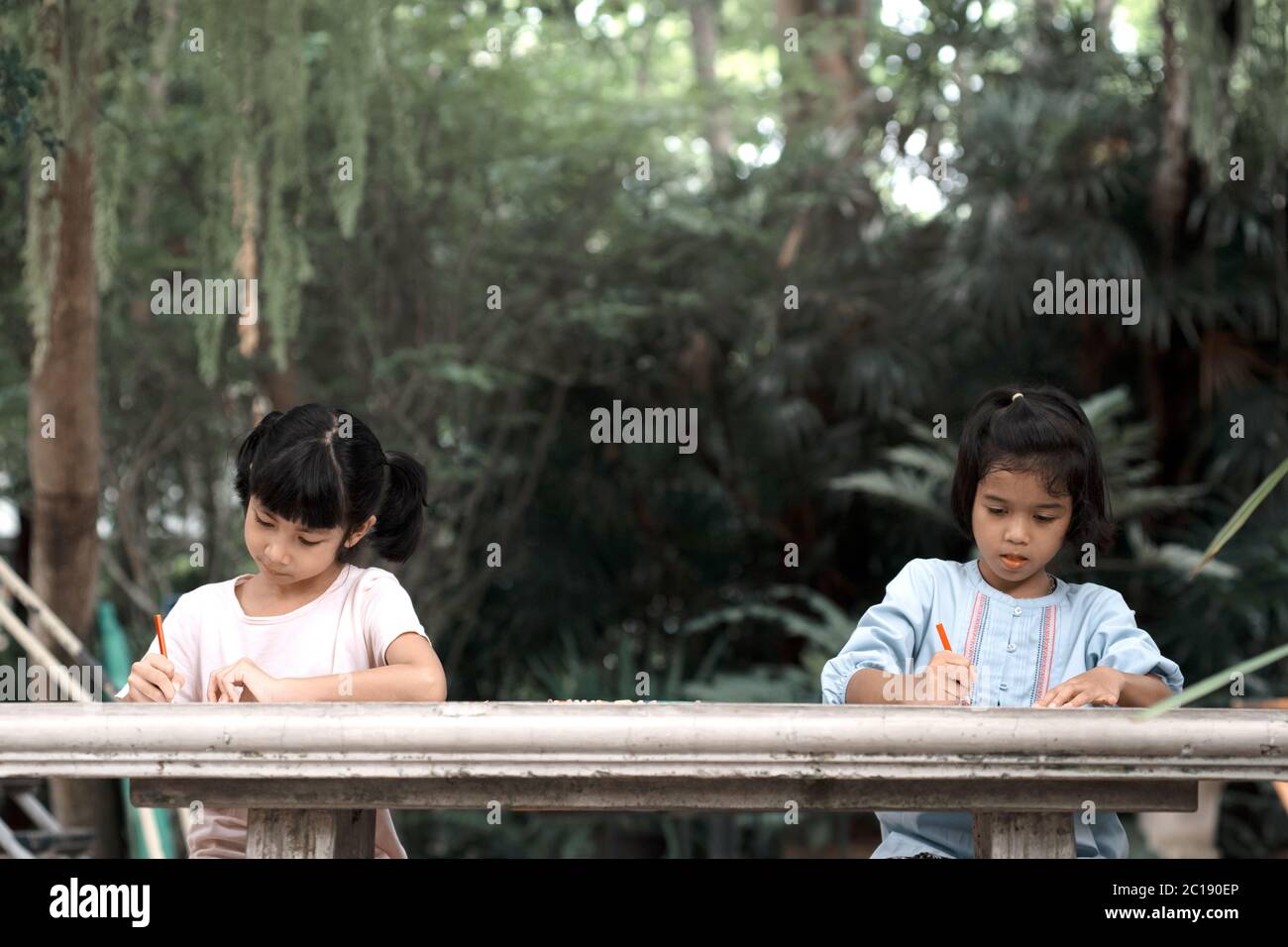 Deux filles asiatiques s'asseyant et peignant dans le jardin. Banque D'Images
