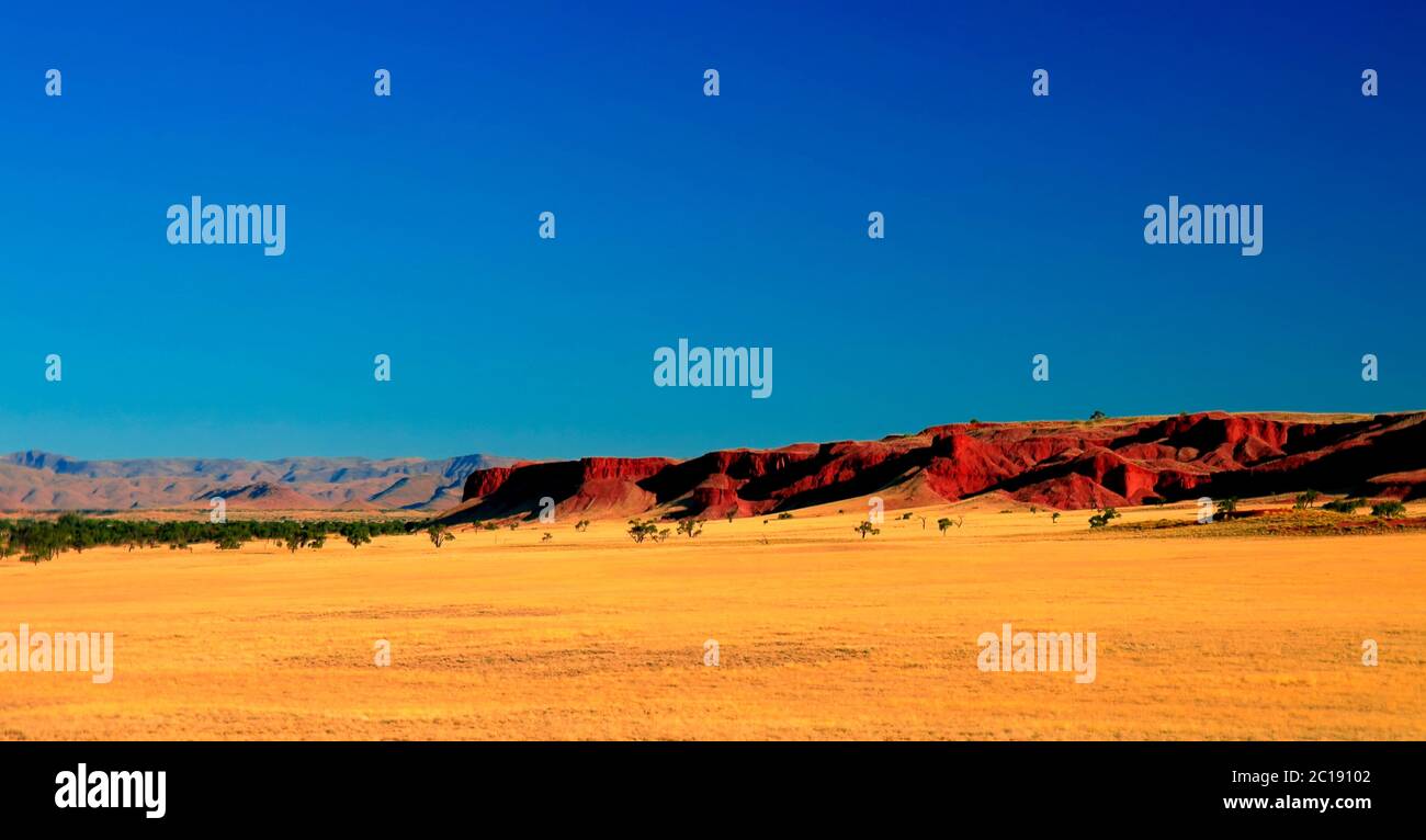 Dunes pétrifiées au coucher du soleil dans le désert de Namib Banque D'Images