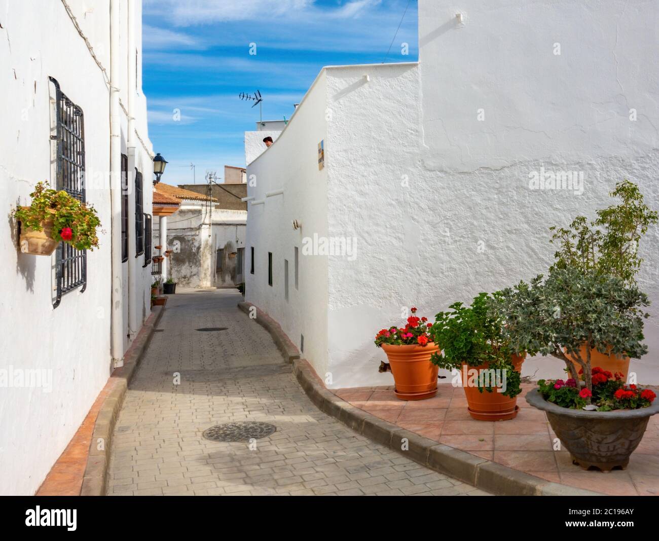 Rues d'une ville blanche appelée Lucainena de las Torres en Espagne. Quelques fleurs et balcons. Banque D'Images