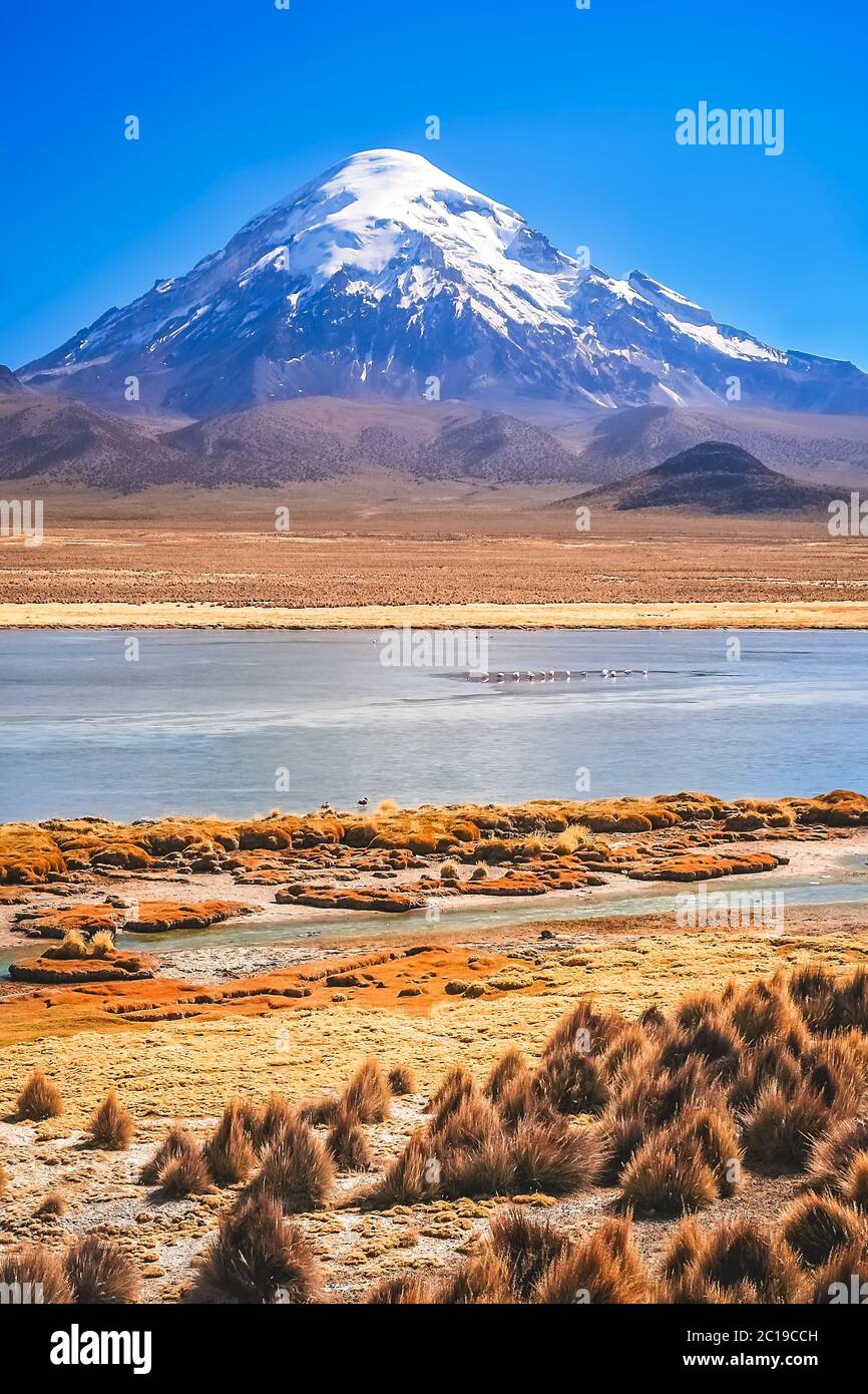 Volcan Nevado Sajama enneigé Banque D'Images