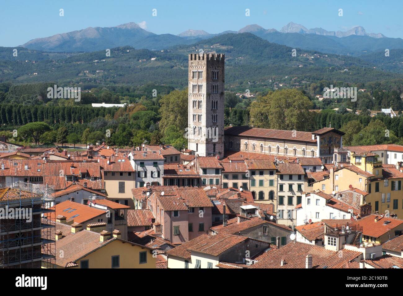 Vue sur les toits de Lucques, ville fortifiée en Toscane, Italie, y compris la basilique de San Frediano et son clocher, avec les Alpes Apuanes derrière Banque D'Images