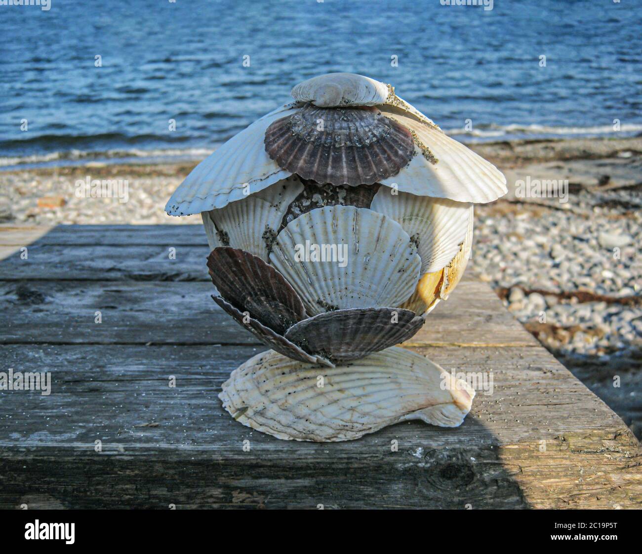 Cercueil fait main en coquilles de pétoncles japonaises, travaux d'aiguille au bord de la mer Banque D'Images