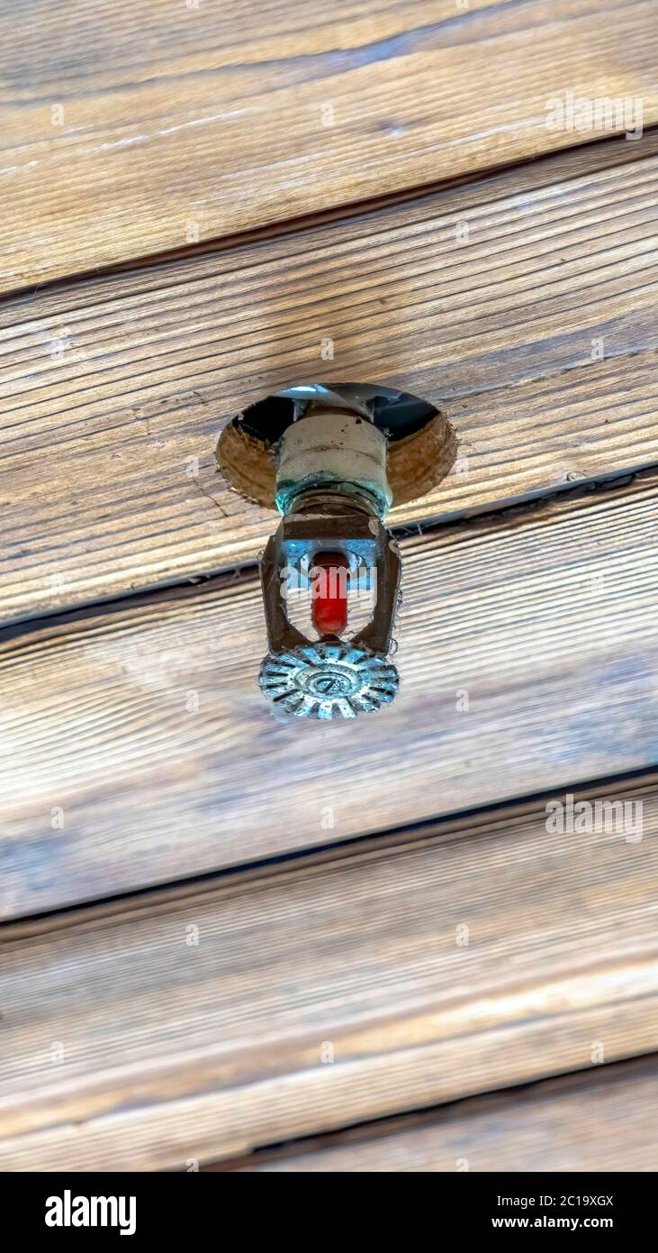 Cadre vertical tête sprinkleur incendie installée sur le plafond en bois marron d'un bâtiment ou d'une maison Banque D'Images