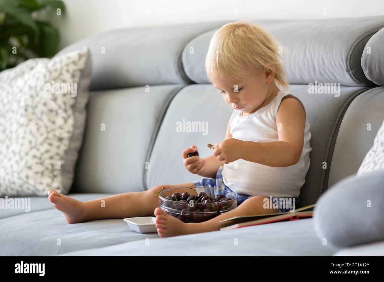 Un tout-petit, assis sur un canapé, mangeant des cerises et regardant un livre d'images, en dégustant un repas sain Banque D'Images