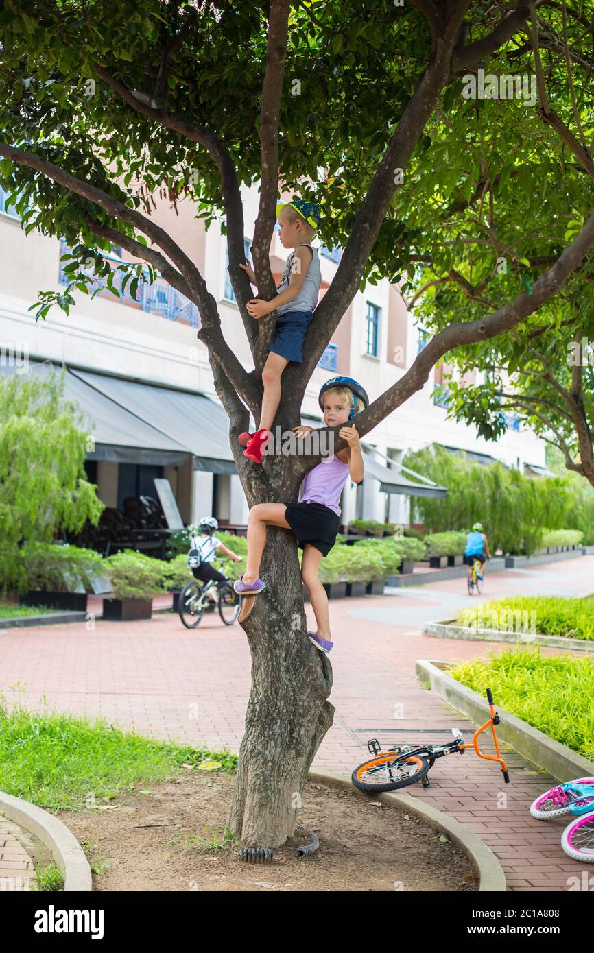 Deux enfants grimpant l'arbre, le jeu est un élément vital de l'enfance. Il encourage et remet en question le développement physique, émotionnel et social des enfants Banque D'Images