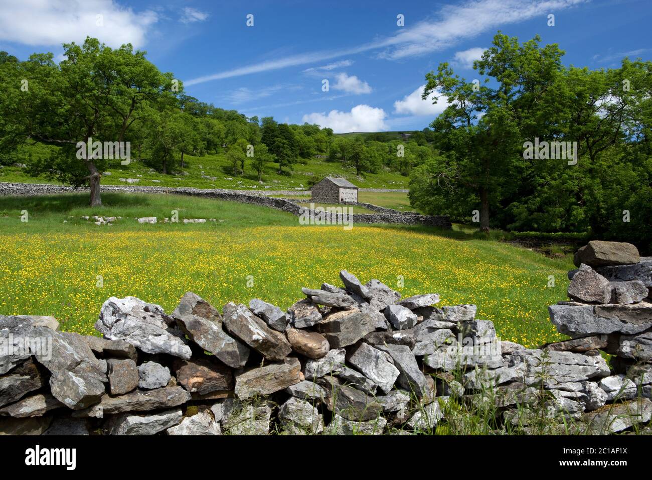 Vue sur le mur de pierre sèche à la grange dans la prairie de Buttercup dans Upper Wharfedale près de Kettlewell Banque D'Images