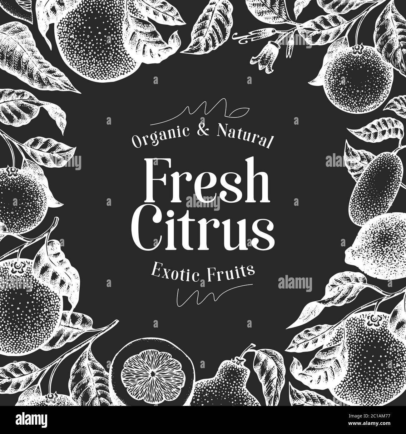 Modèle de dessin d'agrumes dessiné à la main. Illustrations vectorielles d'oranges et de citrons sur tableau à craie. Fond rétro fruit Illustration de Vecteur