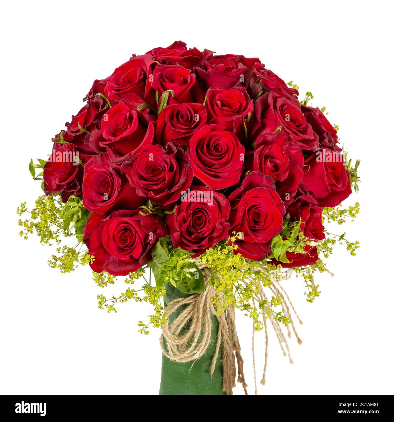 bouquet de roses rouges sombres fleuris dans un vase isolé sur fond blanc Banque D'Images