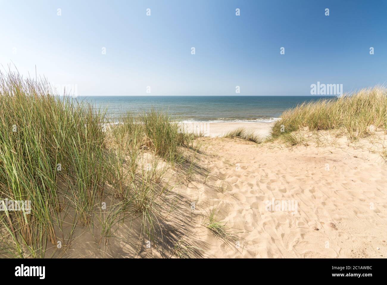 Pelouse de plage dans un paysage de dunes avec plage et océan en arrière-plan Banque D'Images