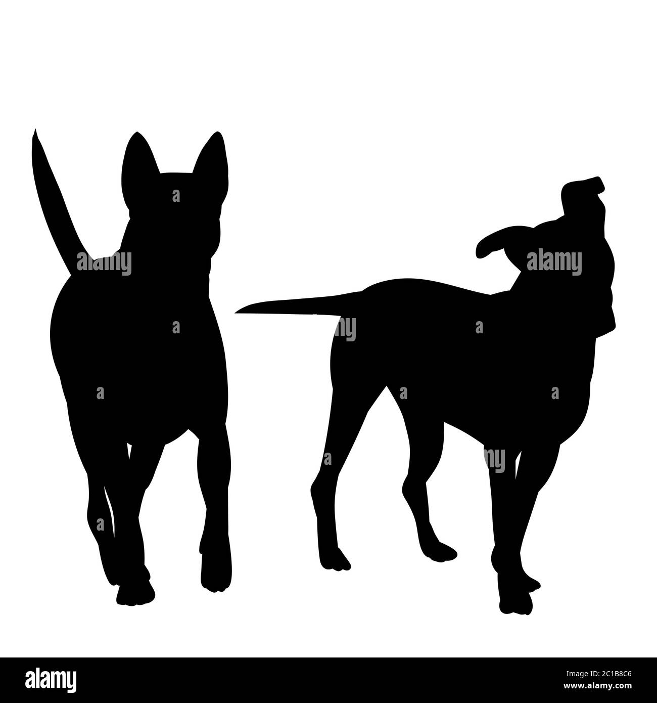 vector, sur fond blanc, silhouette noire d'un chien marchant Illustration de Vecteur