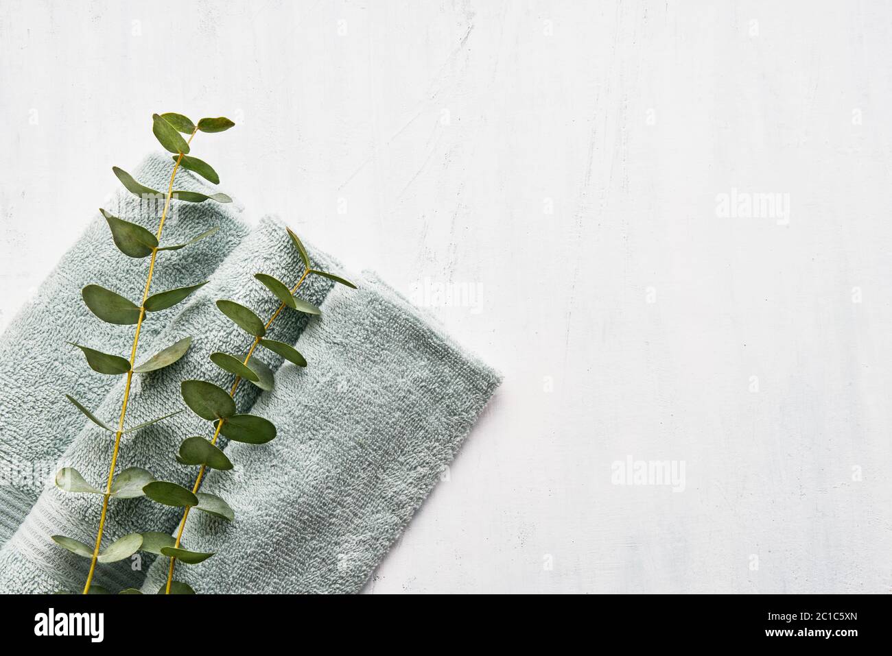 Serviette molletonnée roulée et branche d'eucalyptus vert sur fond blanc. Style scandinave minimaliste. Hygiène, bien-être, concept de soins du corps. C Banque D'Images