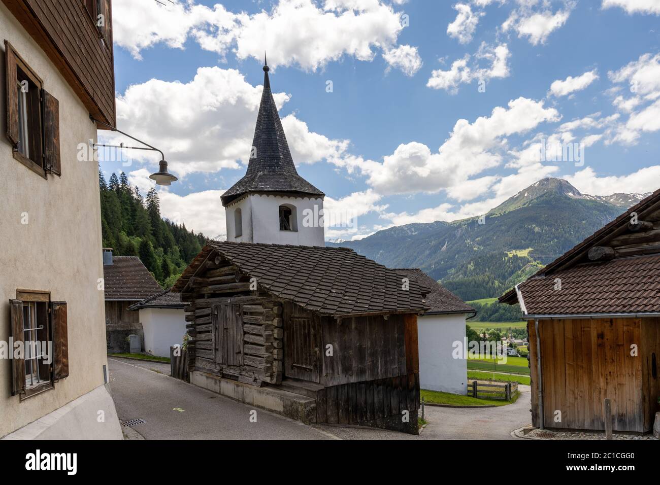 Mountain stream, European Larchs, Larix decidua, Pinaceae, Val da Larisch,  Dumagns, Muntogna da Schons, Alps, Canton of Graubünden, Switzerland Stock  Photo - Alamy