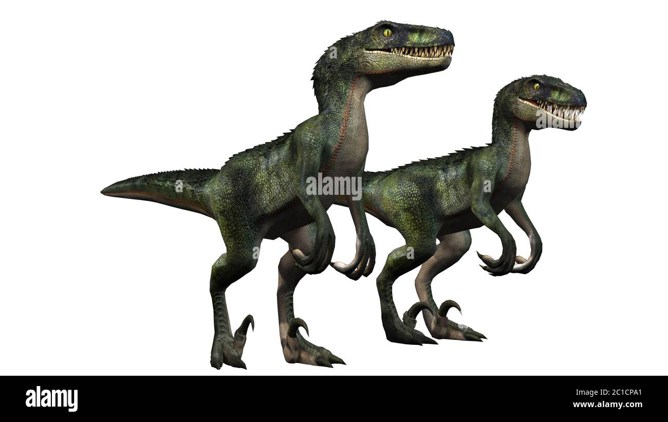 Velociraptor Dinosaur - isolé sur fond blanc Banque D'Images