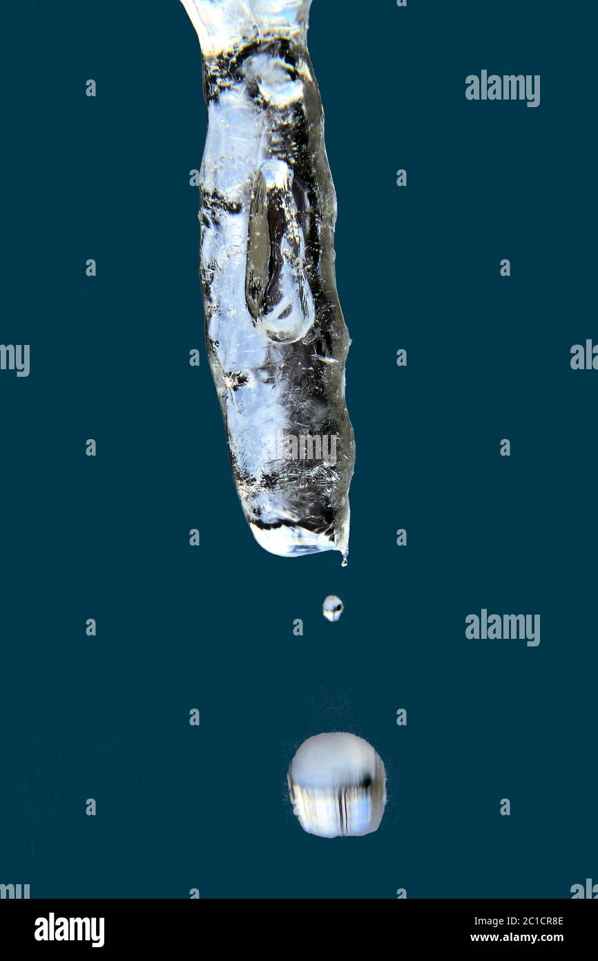 Le travail de la nature en hiver. Macrophotographie de l'icicule isolée sur fond bleu foncé montrant de minuscules gouttelettes d'eau tombant de la pointe de fusion. Banque D'Images