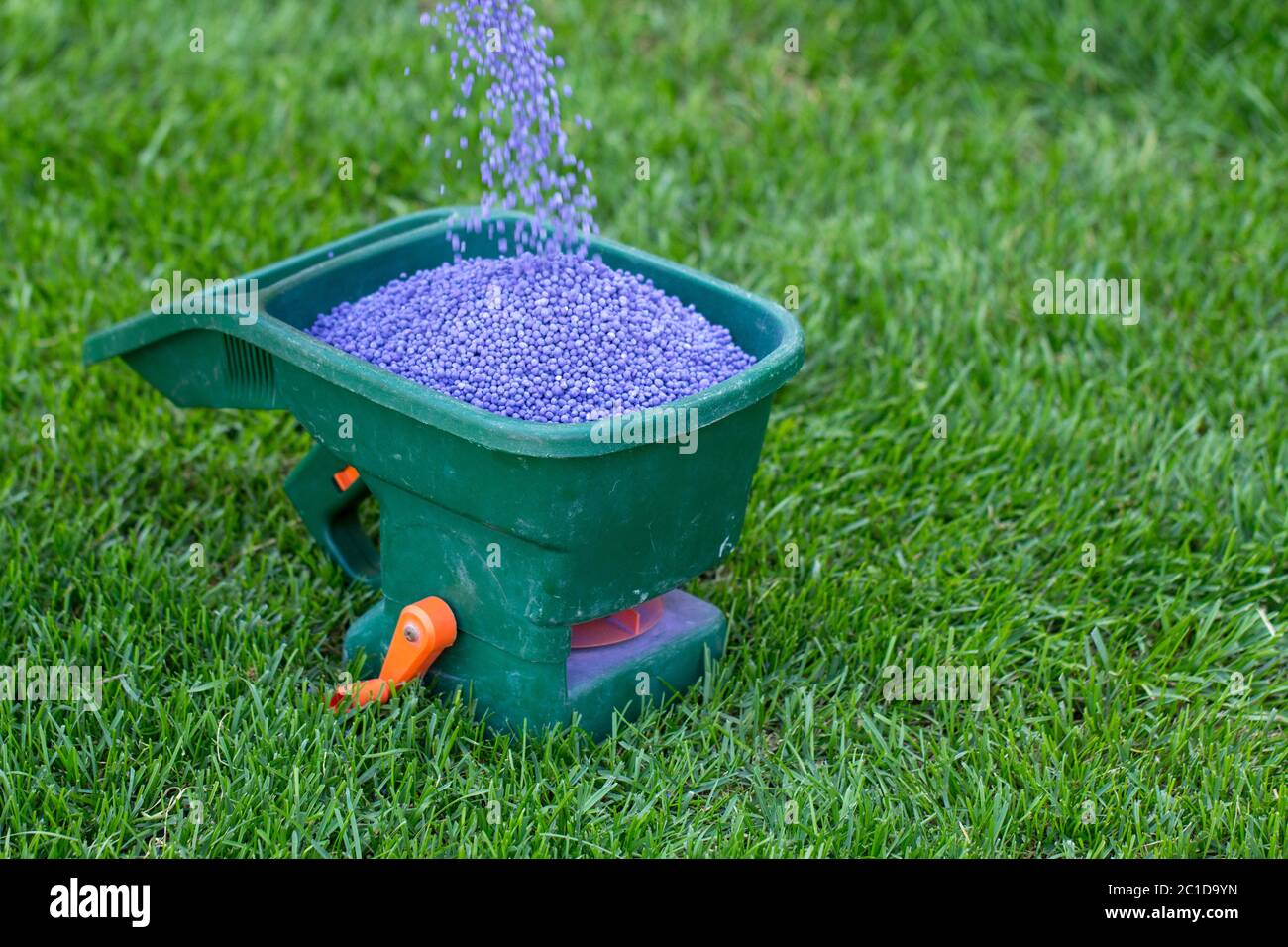 Fertilisation manuelle de la pelouse dans la cour arrière au printemps. Gros plan Banque D'Images