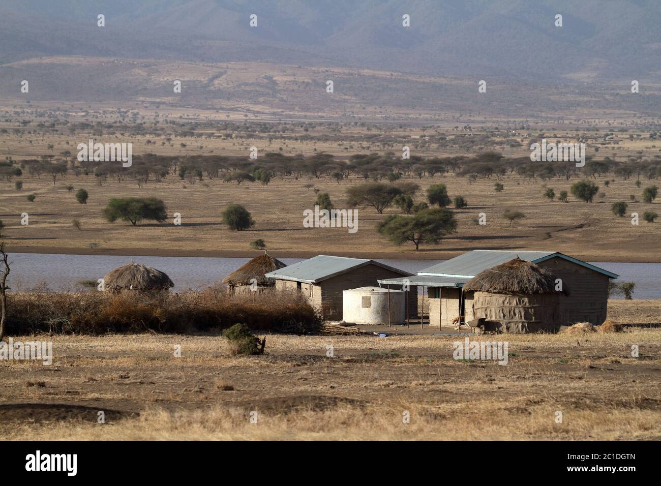 Village du Massai dans le Serengeti Banque D'Images
