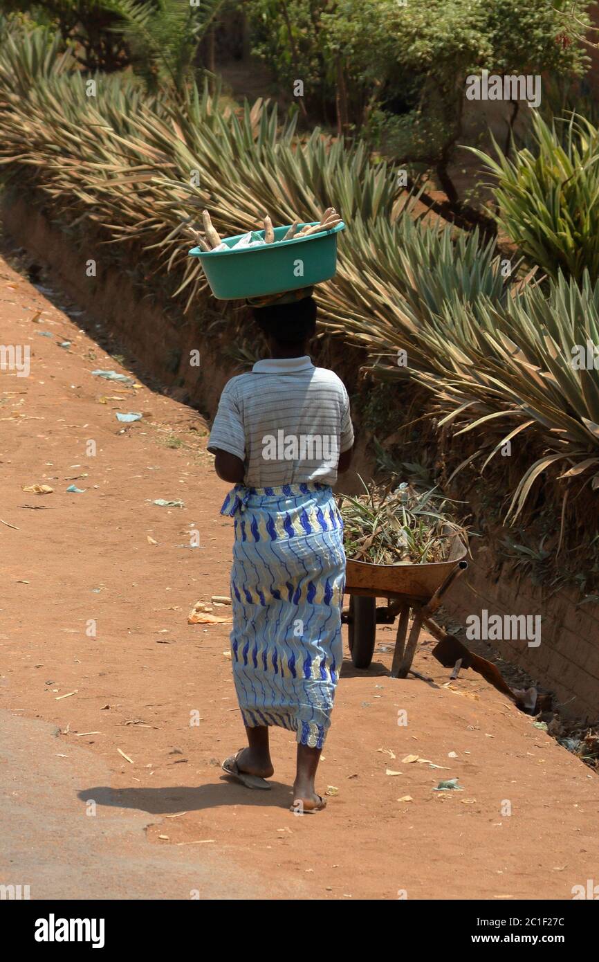 Les femmes dans la campagne au Malawi Banque D'Images