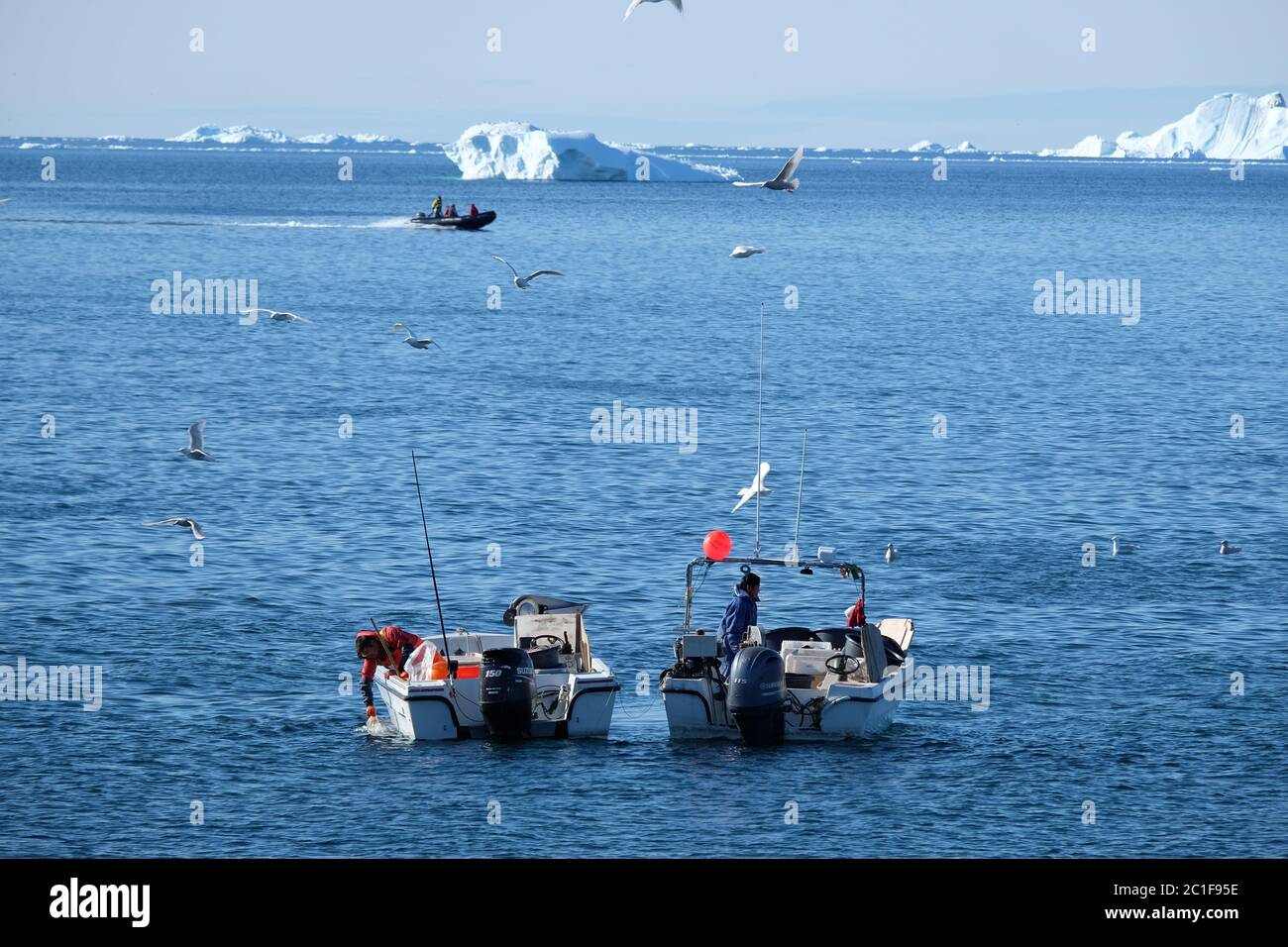 De petits bateaux de pêche se sont emportés par des oiseaux de mer parmi les énormes icebergs de Disco Bay, au Groenland, tandis qu'une côte rapide fait un zoom. Banque D'Images