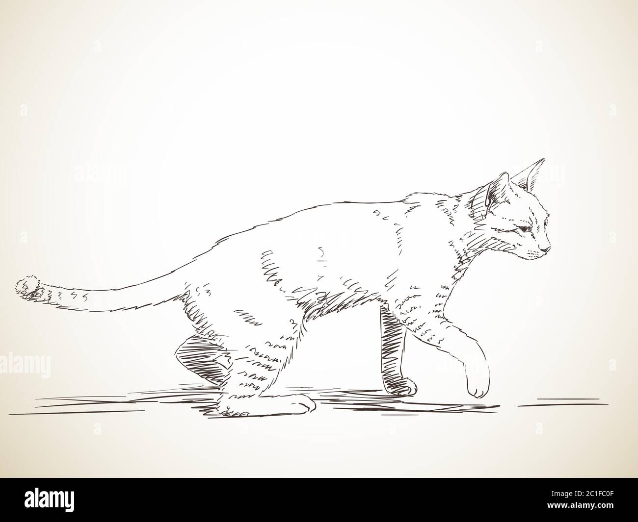 Dessin De La Marche De Chat Dans Le Profil Illustration Dessinee A La Main Image Vectorielle Stock Alamy Dessin De La Marche De Chat Dans Le Profil Illustration Dessinee A La Main Image Vectorielle Stock Alamy