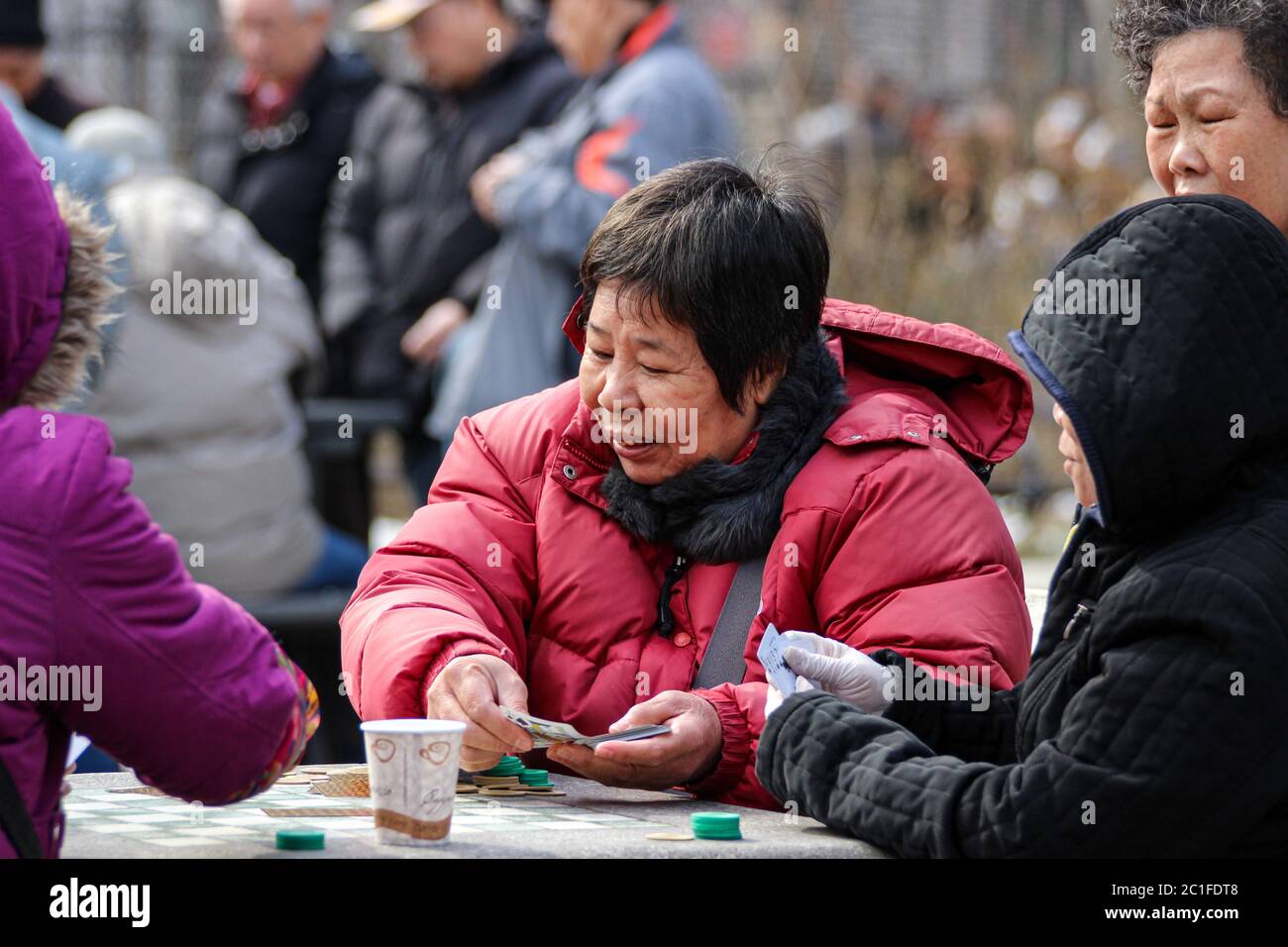 Des femmes âgées jouent à des cartes dans le Columbus Park de Manhattan Chinatown à New York, aux États-Unis d'Amérique Banque D'Images