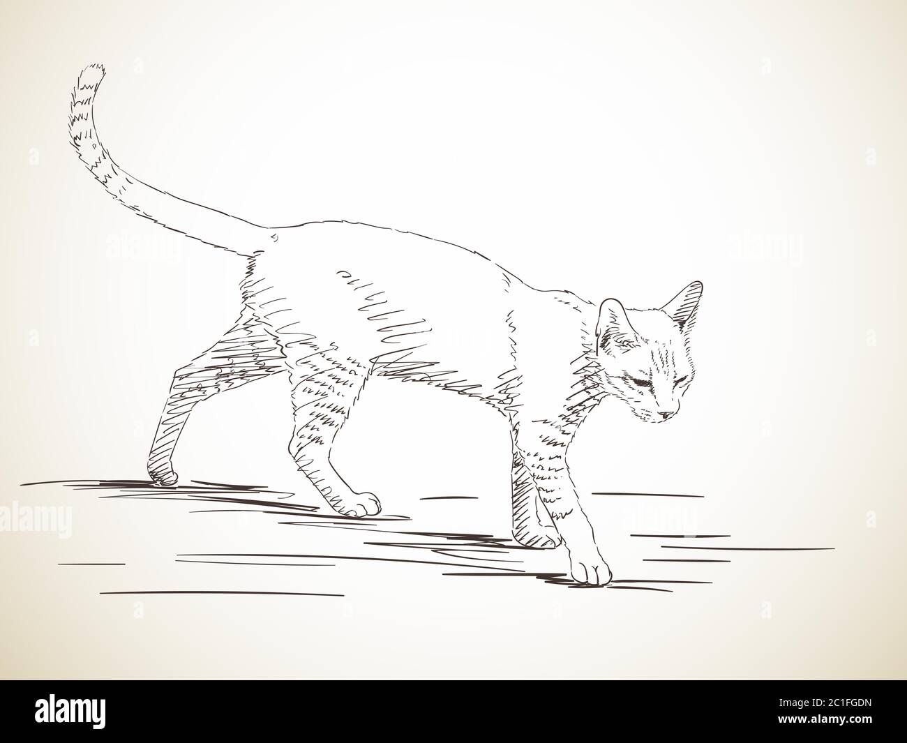 Dessin De La Marche De Chat Dans Le Profil Illustration Dessinee A La Main Image Vectorielle Stock Alamy