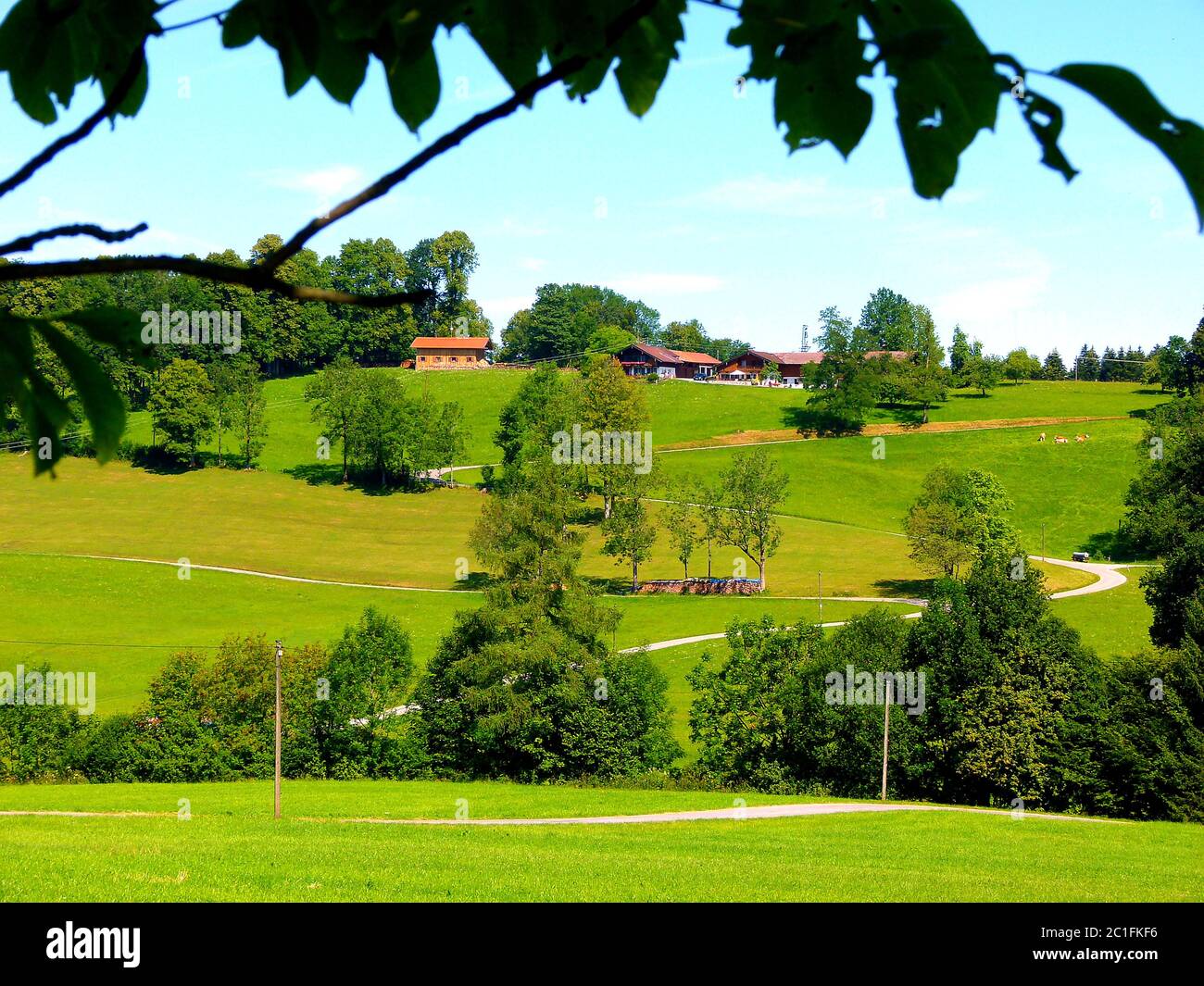 Paysage sud-allemand avec de douces collines et ferme Banque D'Images